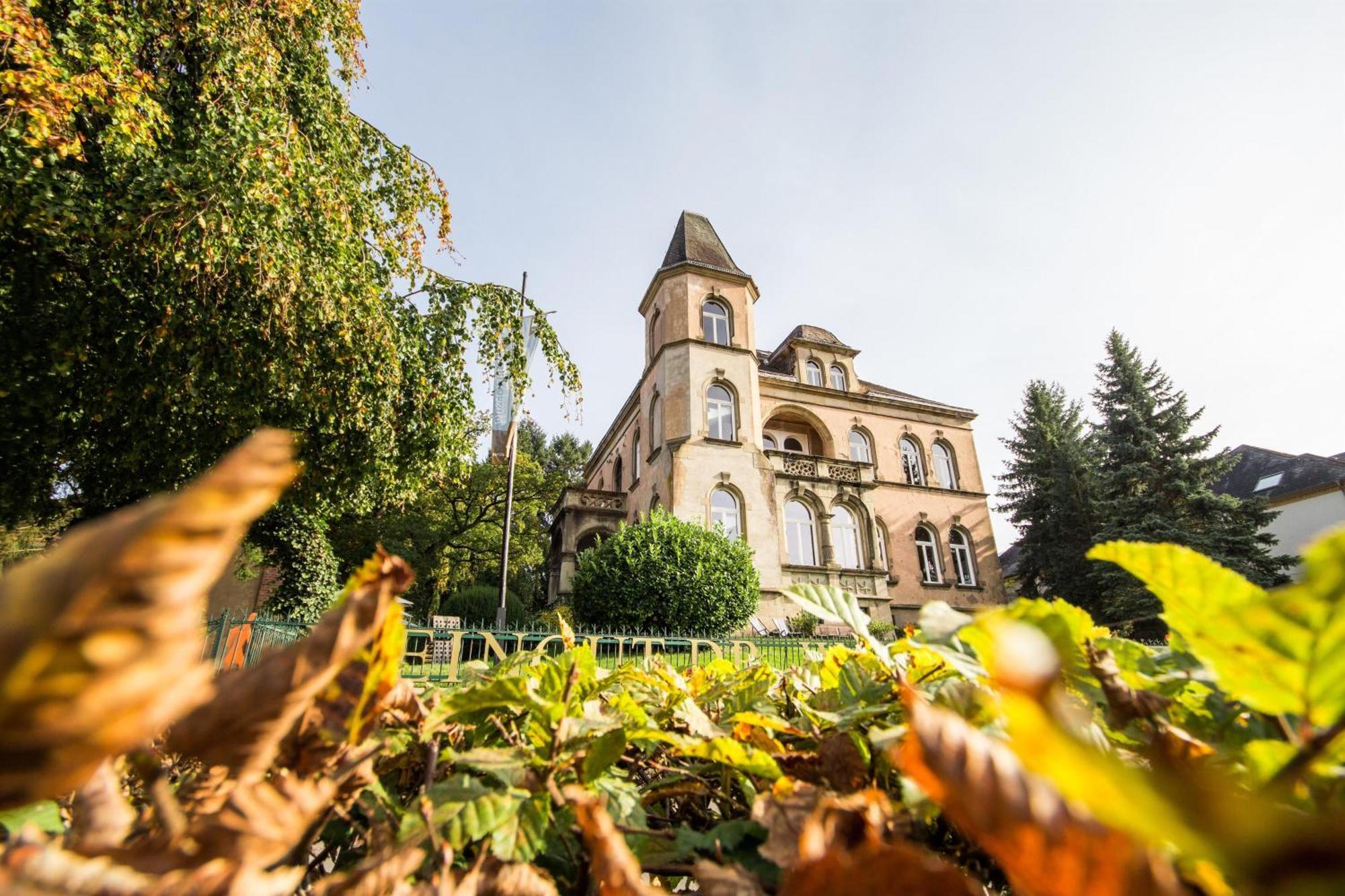 Weingut Dr Wagner Vila Saarburg Exterior foto
