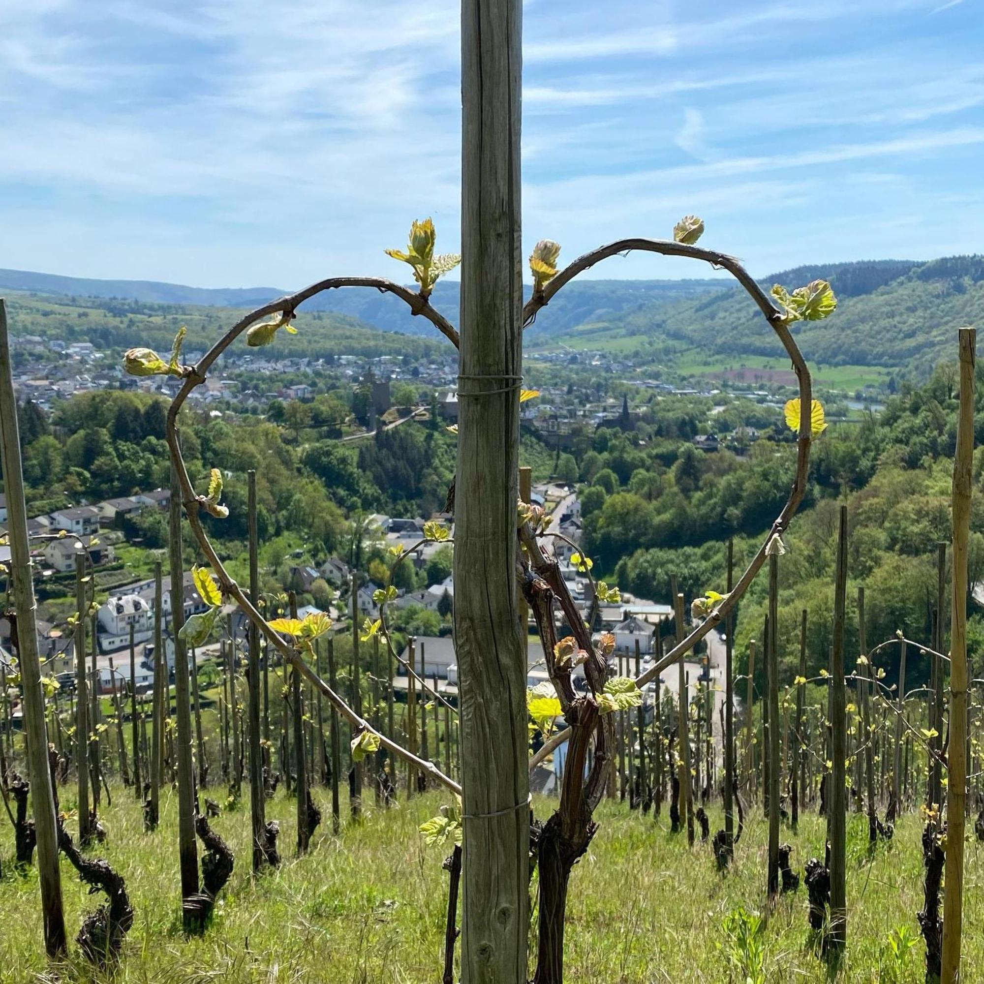 Weingut Dr Wagner Vila Saarburg Exterior foto