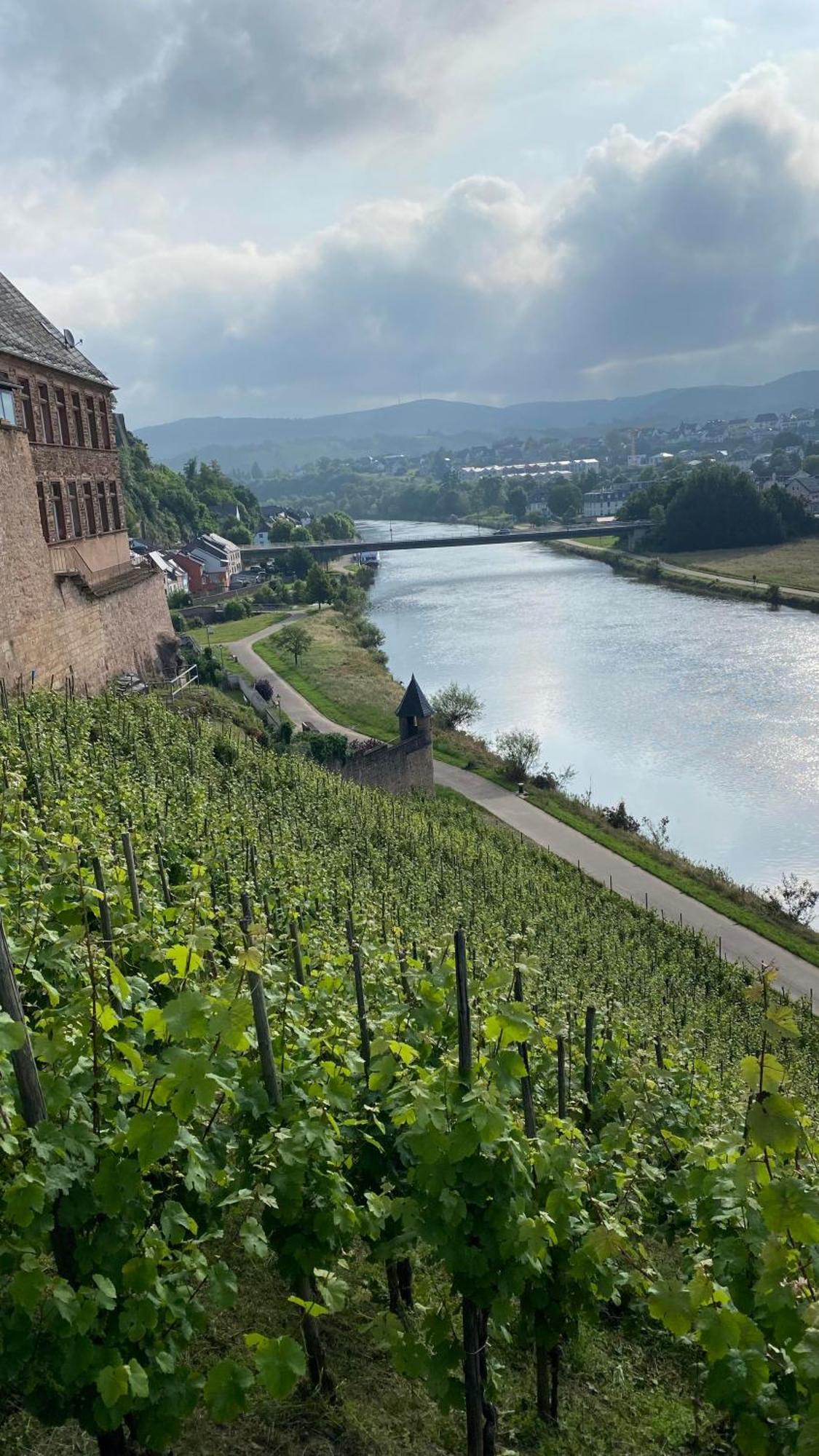 Weingut Dr Wagner Vila Saarburg Exterior foto